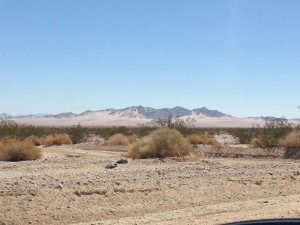 Route 66