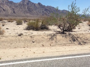 Route 66