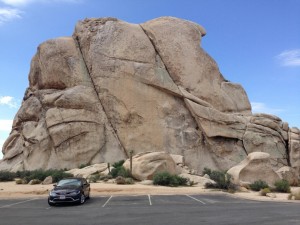 Joshua Tree