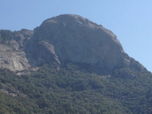 Sequoia Nationalpark