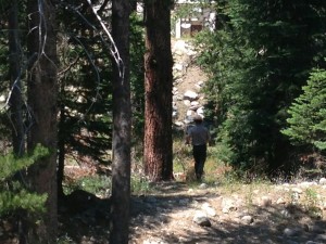 Sequoia Nationalpark