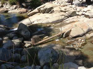 Sequoia Nationalpark
