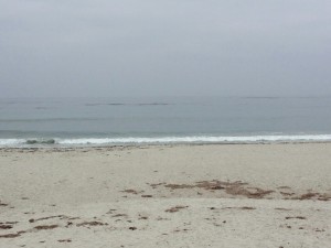 Monterey - 17-Mile-Drive