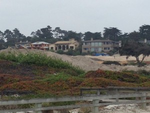 Monterey - 17-Mile-Drive