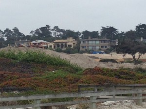 Monterey - 17-Mile-Drive