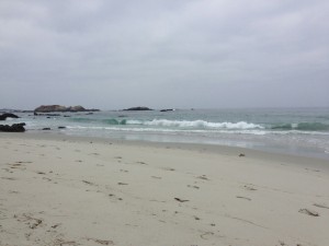 Monterey - 17-Mile-Drive