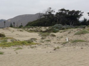 Morro Bay