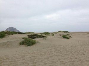 Morro Bay