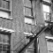 French Quarter 23