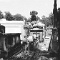 Garden District 11