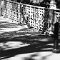 Central Park 1