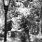 Central Park 2