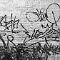 New York 32