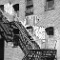 New York 37