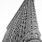 New York 40