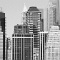 New York 42