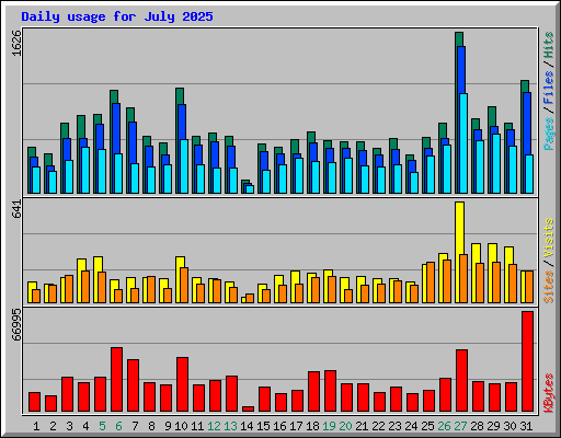 Daily usage for July 2025