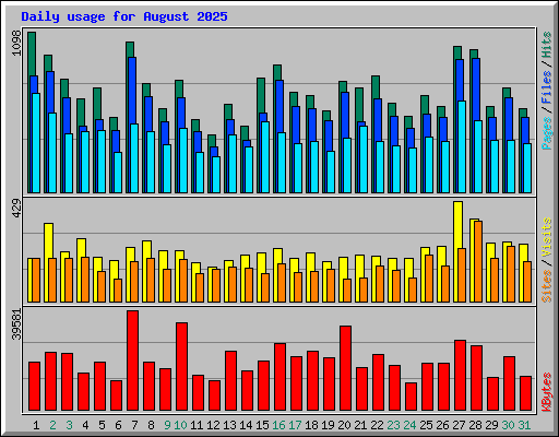 Daily usage for August 2025