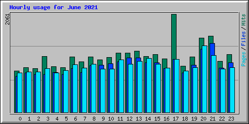 Hourly usage for June 2021