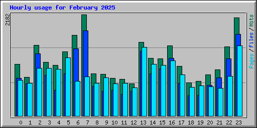 Hourly usage for February 2025