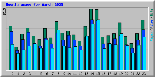 Hourly usage for March 2025
