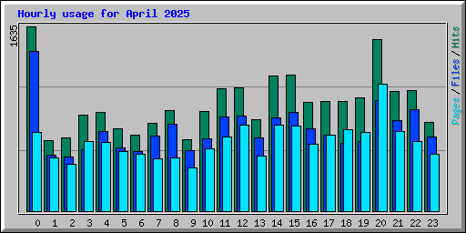 Hourly usage for April 2025