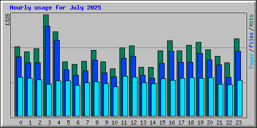 Hourly usage for July 2025