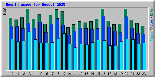 Hourly usage for August 2025