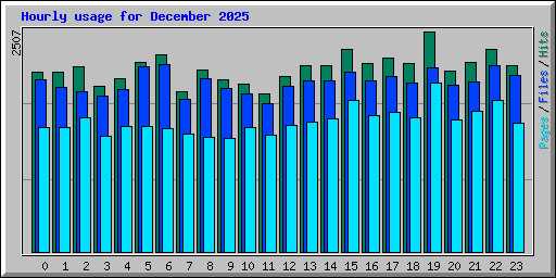 Hourly usage for December 2025