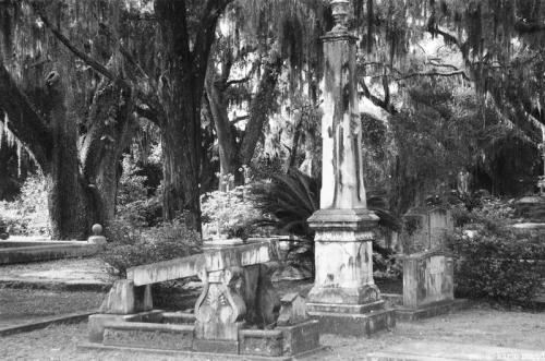Bonaventure Cemetery 3
