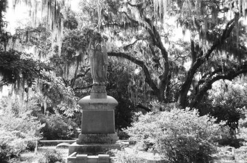 Bonaventure Cemetery 6